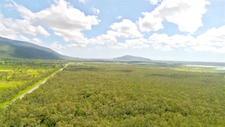 Seventh view of Homely rural property listing, 34452 Bruce Highway, Giru QLD 4809