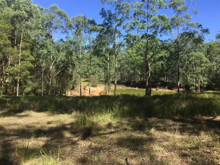Second view of Homely rural property listing, Lot 36 Cells River Road, Yarrowitch NSW 2354
