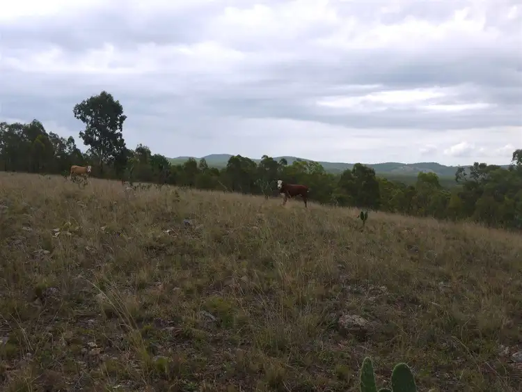Seventh view of Homely rural property listing, Lot 2 Thanes Creek rd, Warwick QLD 4370