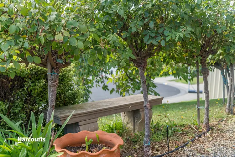 Sixth view of Homely house listing, 12 Beauty View Road, Huonville TAS 7109