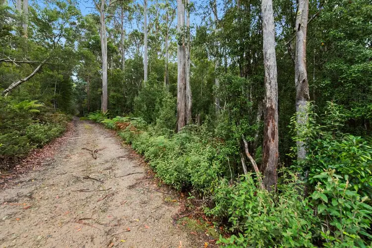 Fourth view of Homely rural property listing, 1027A Upper Natone Road, Upper Natone TAS 7321