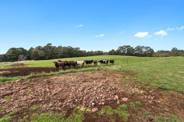 Seventh view of Homely rural property listing, 1027A Upper Natone Road, Upper Natone TAS 7321