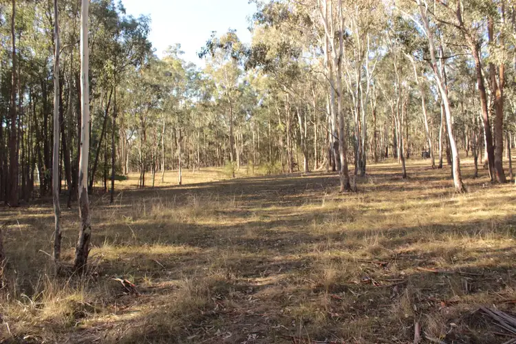 Main view of Homely land listing, 11 Yellow Box Ridge, Acheron VIC 3714