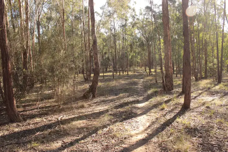 Second view of Homely land listing, 11 Yellow Box Ridge, Acheron VIC 3714