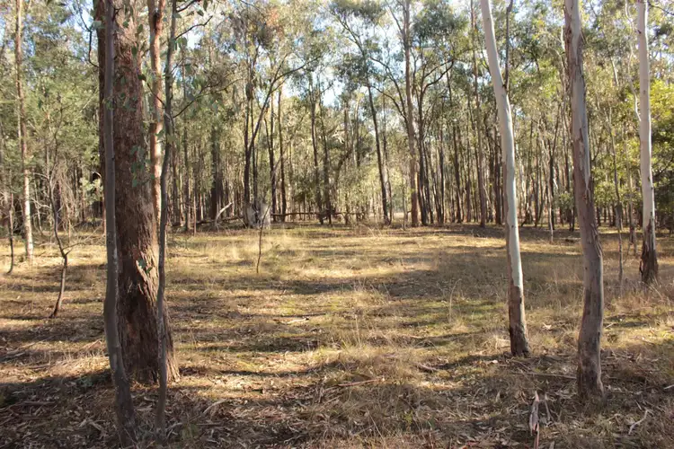 Fourth view of Homely land listing, 11 Yellow Box Ridge, Acheron VIC 3714