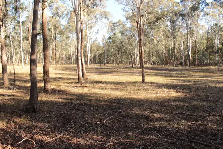 Fifth view of Homely land listing, 11 Yellow Box Ridge, Acheron VIC 3714