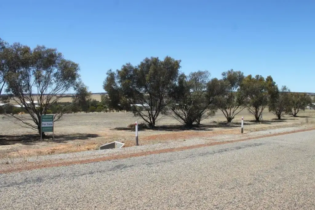 Main view of Homely land listing, 12 Hewitt Rd, Wongan Hills WA 6603