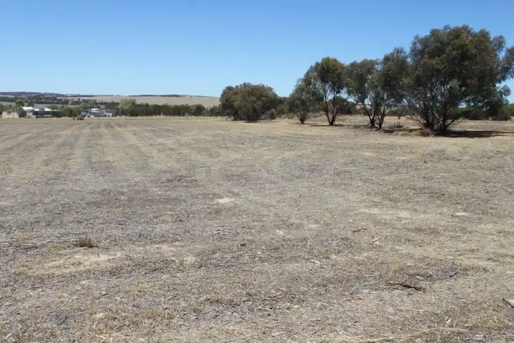 Sixth view of Homely land listing, 12 Hewitt Rd, Wongan Hills WA 6603