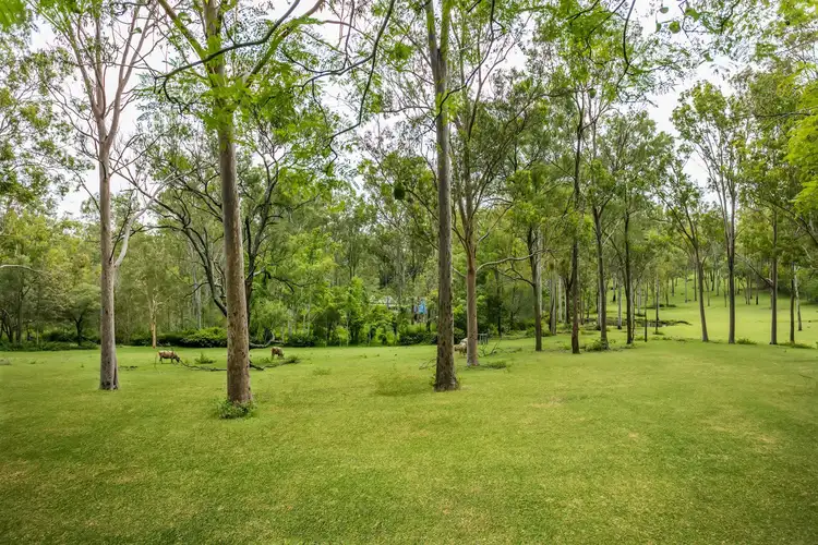Second view of Homely rural property listing, 765 Camp Cable Road, Logan Village QLD 4207