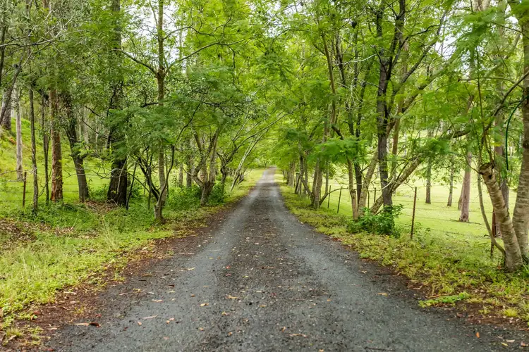 Sixth view of Homely rural property listing, 765 Camp Cable Road, Logan Village QLD 4207