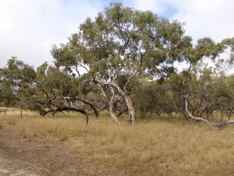 Third view of Homely rural property listing, 2566 Emu Flat Road, Keith SA 5267