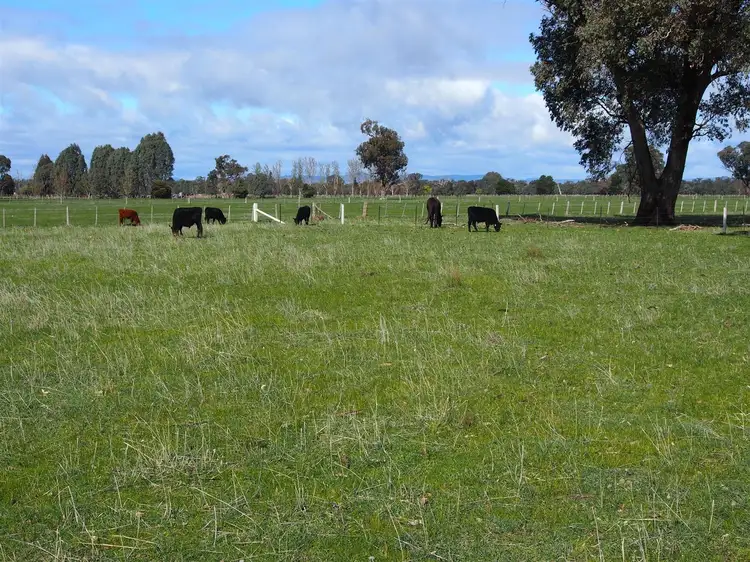 Fourth view of Homely rural property listing, 267 North Rd, Benalla VIC 3672