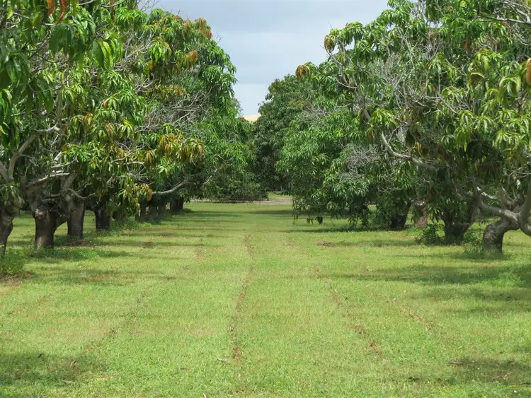 Second view of Homely house listing, 120 Mount Kelly Drive, Mount Kelly QLD 4807