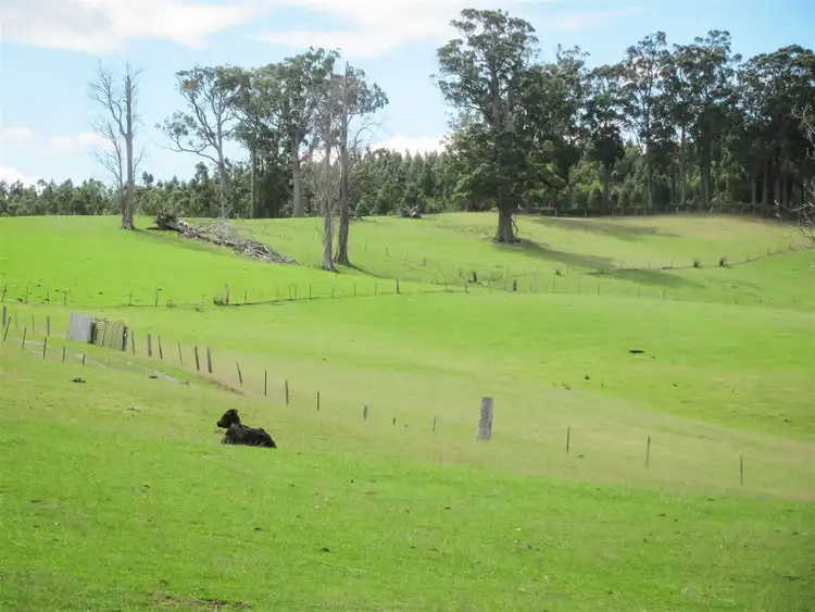 Second view of Homely rural property listing, 608 Rookery Road, Winkleigh TAS 7275