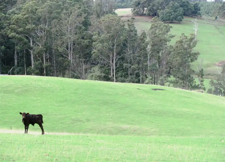 Fifth view of Homely rural property listing, 608 Rookery Road, Winkleigh TAS 7275