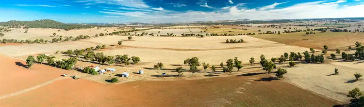 Main view of Homely rural property listing, Rathmount Cobdens Rd, Wagga Wagga NSW 2650