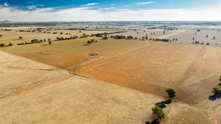 Third view of Homely rural property listing, Rathmount Cobdens Rd, Wagga Wagga NSW 2650