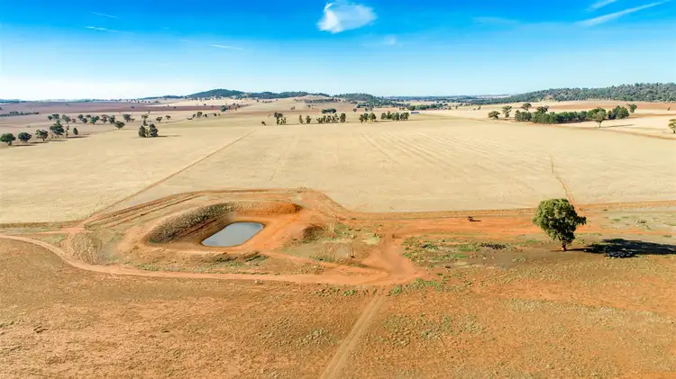 Sixth view of Homely rural property listing, Rathmount Cobdens Rd, Wagga Wagga NSW 2650
