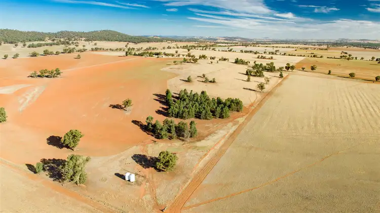 Seventh view of Homely rural property listing, Rathmount Cobdens Rd, Wagga Wagga NSW 2650