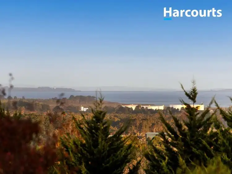 Third view of Homely rural property listing, 16 Peach Grove, Tyabb VIC 3913
