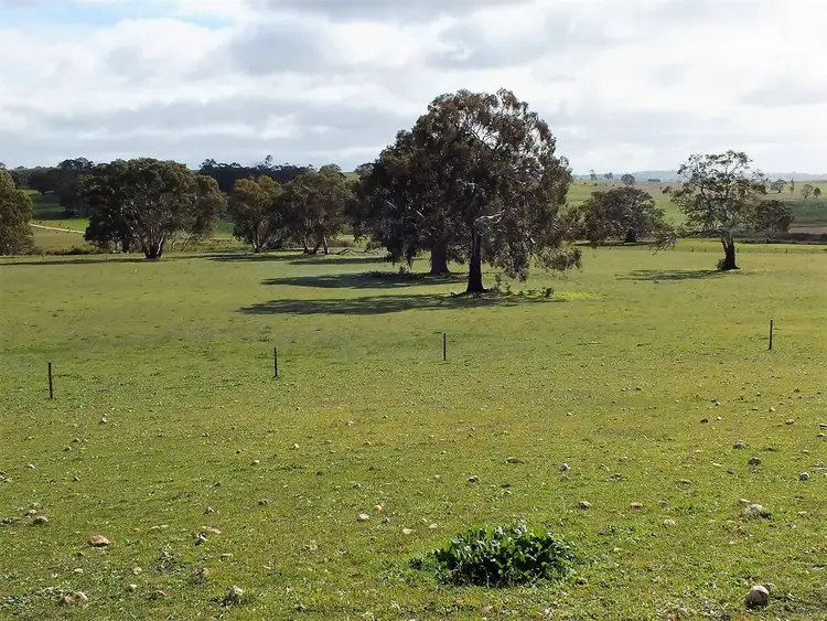 Fifth view of Homely rural property listing, 559. Jutland Road, Eden Valley SA 5235