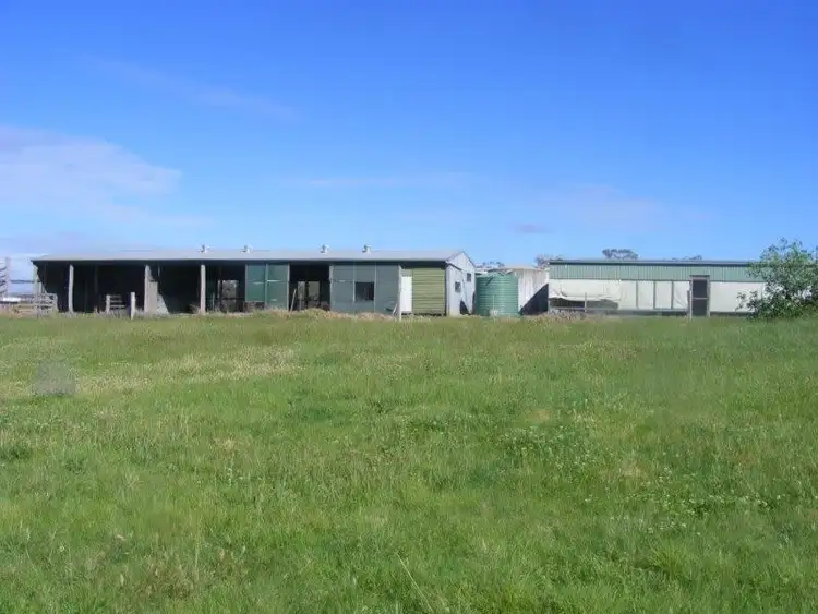 Sixth view of Homely rural property listing, 2898 Kings Plains Road, via, Inverell NSW 2360
