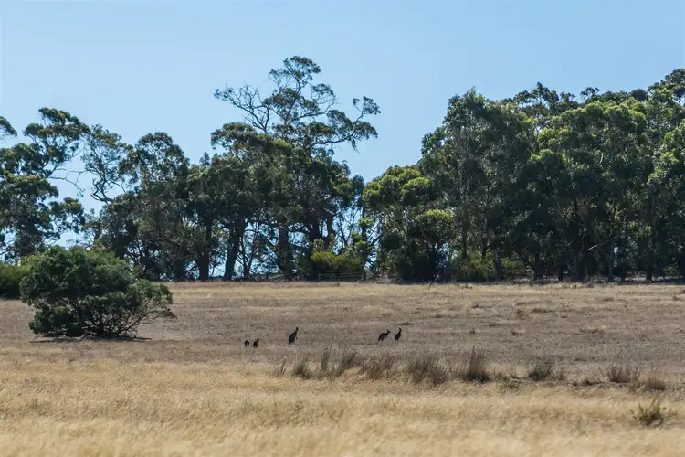 Third view of Homely land listing, CA 1J - 1L Trunk Lead Road, Bunkers Hill VIC 3352