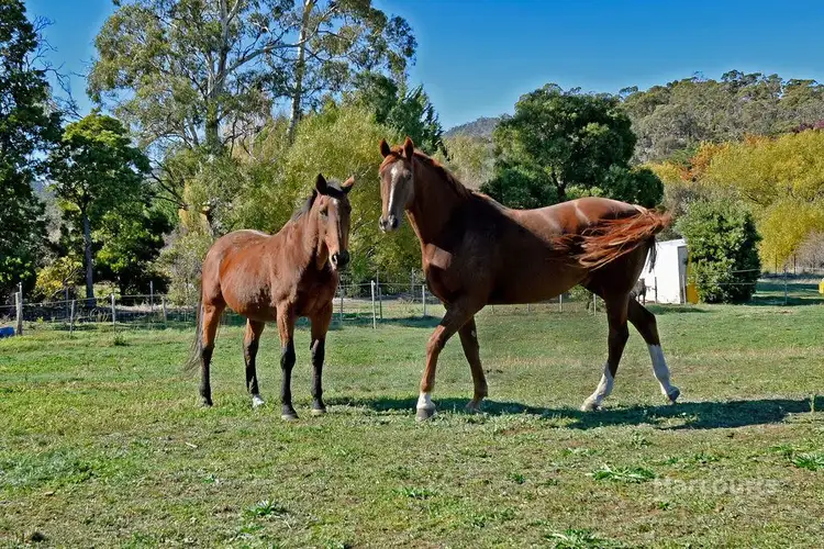 Fifth view of Homely house listing, 1768 Midland Highway, Bagdad TAS 7030