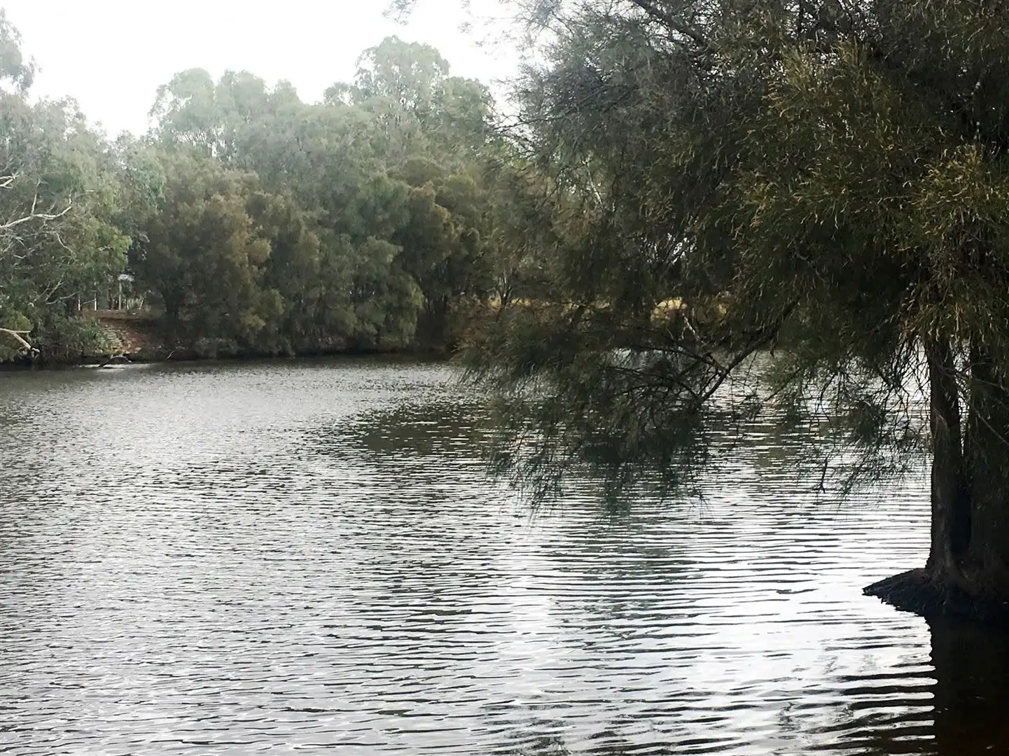 Main view of Homely house listing, 102 Hamersley Road, Caversham WA 6055