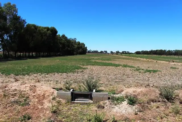 Fifth view of Homely rural property listing, Sleeps Creamery Road, Swan Hill VIC 3585