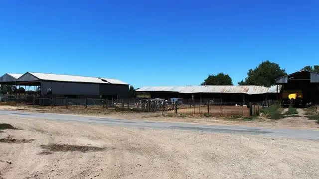 Seventh view of Homely rural property listing, .. Creamery Road, Swan Hill VIC 3585