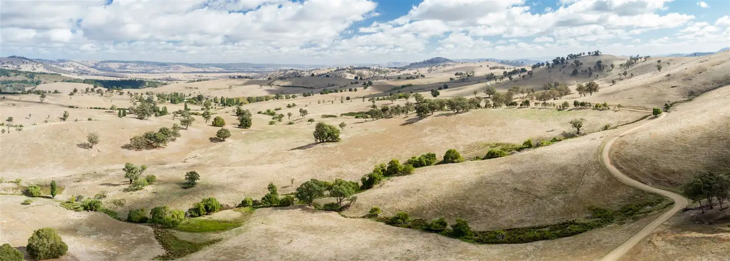 Main view of Homely rural property listing, Sharps Creek, Sharps Creek Rd via, Adelong NSW 2729