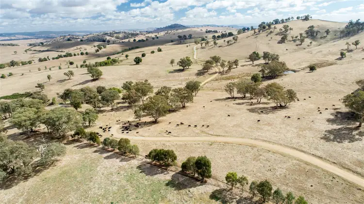 Second view of Homely rural property listing, Sharps Creek, Sharps Creek Rd via, Adelong NSW 2729