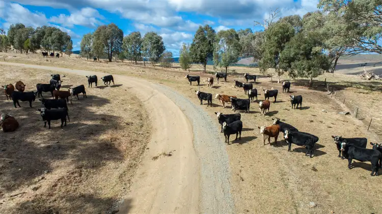 Fourth view of Homely rural property listing, Sharps Creek, Sharps Creek Rd via, Adelong NSW 2729