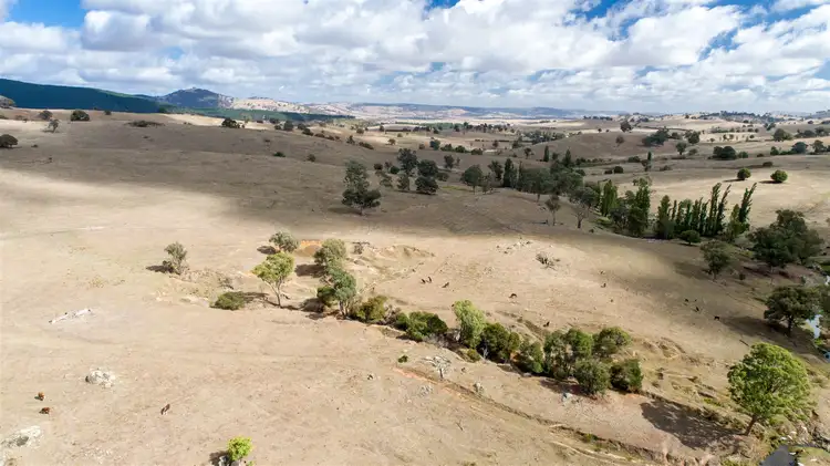Fifth view of Homely rural property listing, Sharps Creek, Sharps Creek Rd via, Adelong NSW 2729