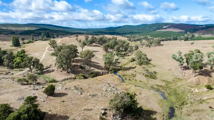 Sixth view of Homely rural property listing, Sharps Creek, Sharps Creek Rd via, Adelong NSW 2729