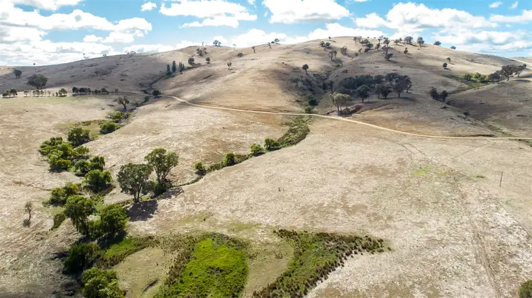 Seventh view of Homely rural property listing, Sharps Creek, Sharps Creek Rd via, Adelong NSW 2729