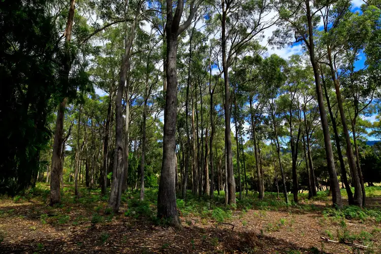 Fifth view of Homely rural property listing, 265 Tarleton Road, Tarleton TAS 7310