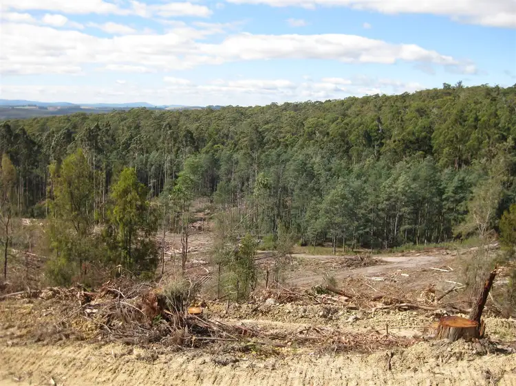 Sixth view of Homely rural property listing, 265 Tarleton Road, Tarleton TAS 7310