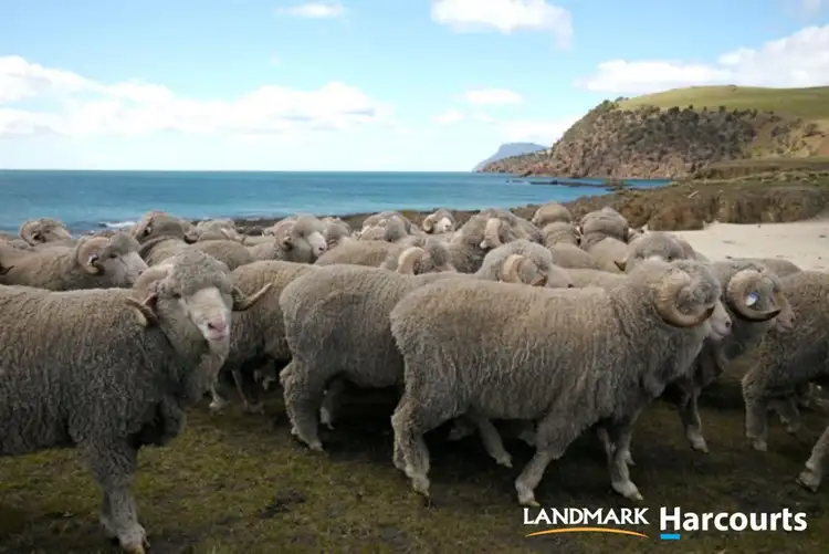 Second view of Homely rural property listing, 536 Okehampton Road, Triabunna TAS 7190