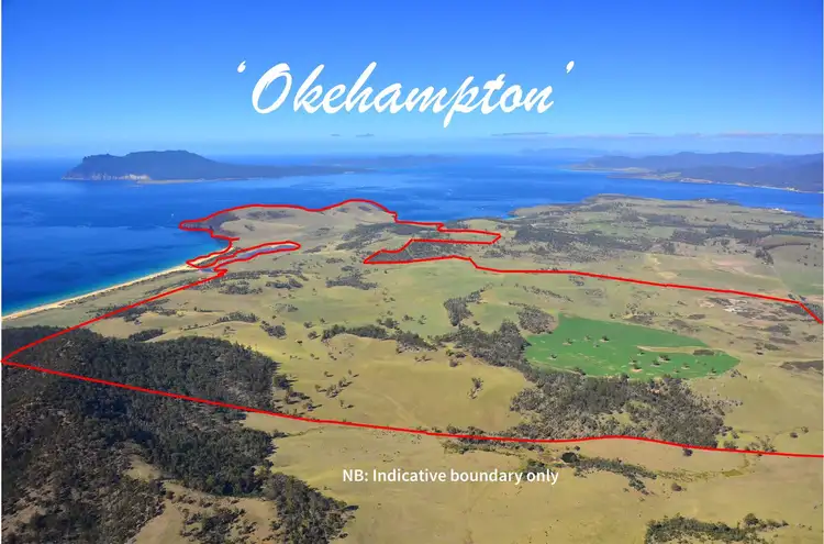 Third view of Homely rural property listing, 536 Okehampton Road, Triabunna TAS 7190