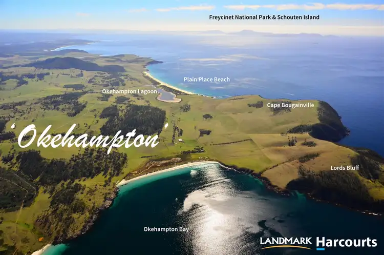 Fourth view of Homely rural property listing, 536 Okehampton Road, Triabunna TAS 7190