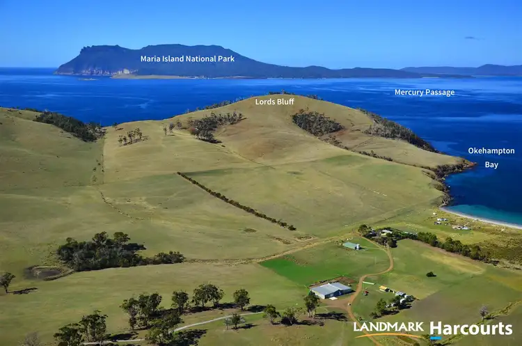 Fifth view of Homely rural property listing, 536 Okehampton Road, Triabunna TAS 7190