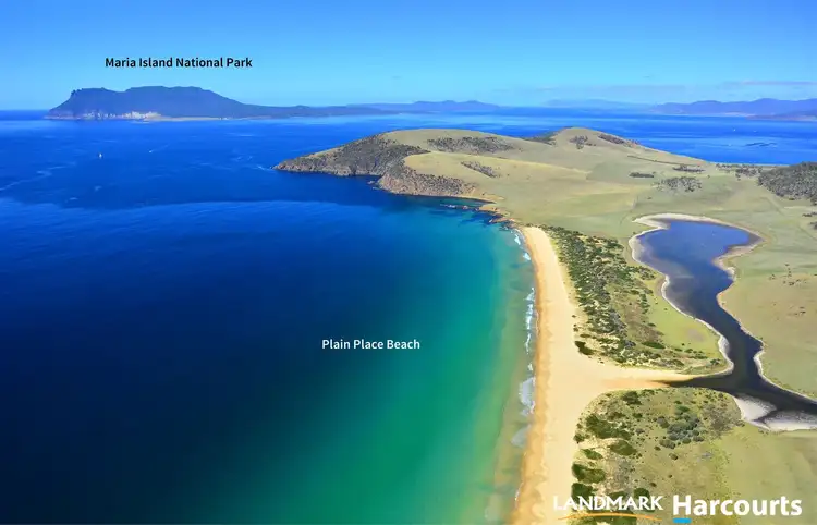 Seventh view of Homely rural property listing, 536 Okehampton Road, Triabunna TAS 7190