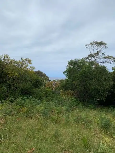 Main view of Homely land listing, 41 Treloggen Drive, Binalong Bay TAS 7216