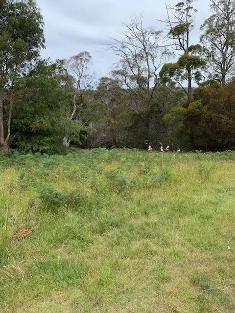 Second view of Homely land listing, 41 Treloggen Drive, Binalong Bay TAS 7216