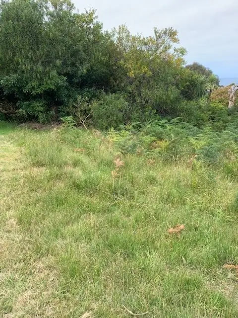 Sixth view of Homely land listing, 41 Treloggen Drive, Binalong Bay TAS 7216