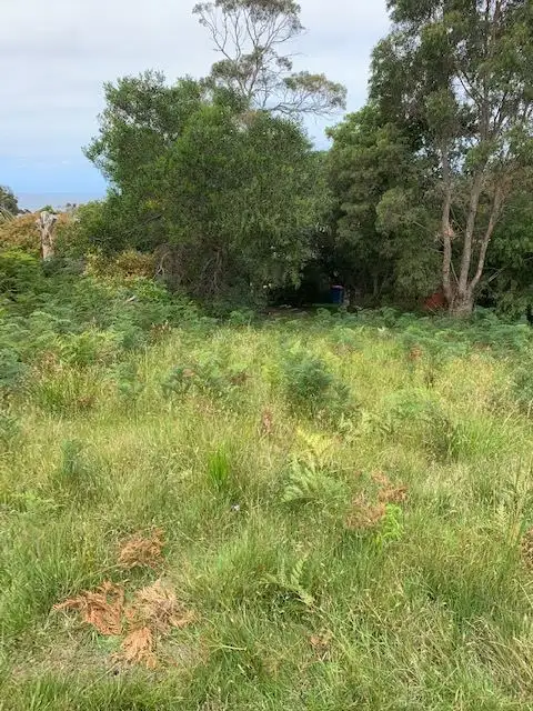 Seventh view of Homely land listing, 41 Treloggen Drive, Binalong Bay TAS 7216