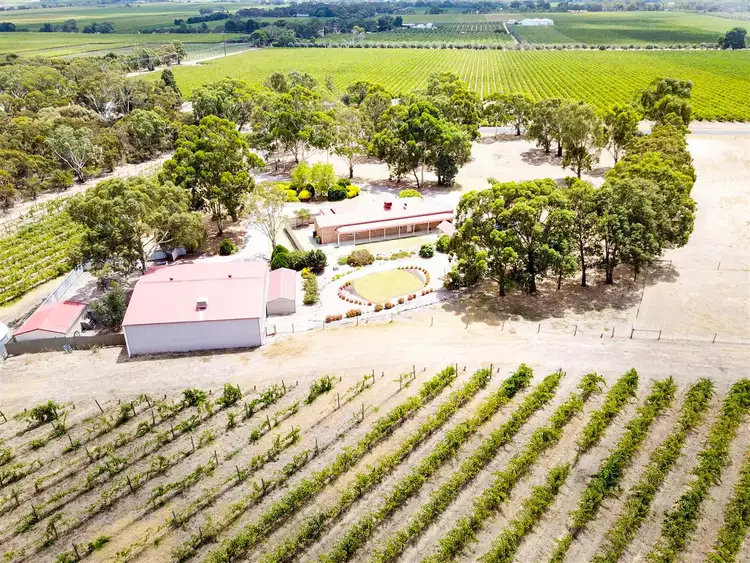 Second view of Homely rural property listing, 190 Binney Road, Willunga SA 5172