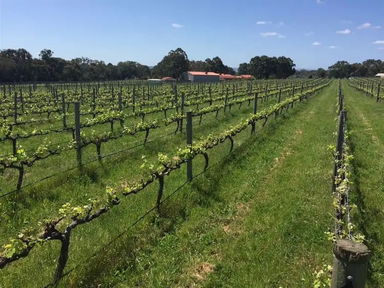 Third view of Homely rural property listing, 190 Binney Road, Willunga SA 5172